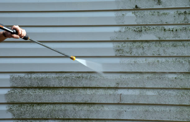 Best Attic Mold Removal  in Bolinas, CA