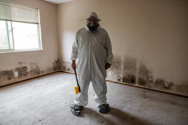 Best Certified Mold Removal  in Bolinas, CA